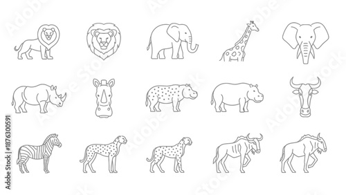 African Safari Animals Line Art Icons