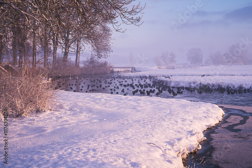 Frozen river bend surrounded by snowy banks and winter trees. Soft pastel light, quiet winter morning and peaceful rural landscape.