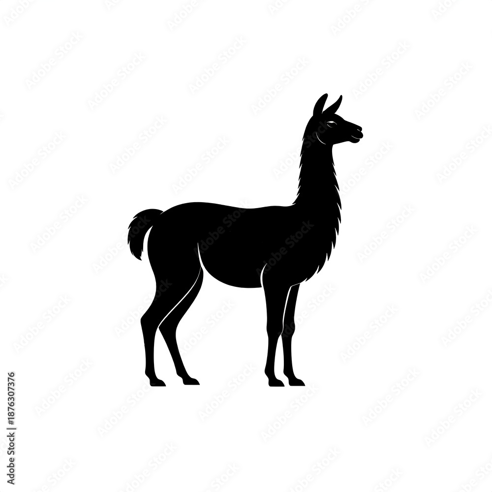 Obraz premium Elegant Silhouette of a Llama - A Striking Black and White Illustration.