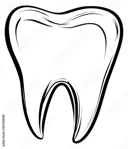 Hand drawn line art illustration of a human tooth depicting its anatomical shape for dentistry design
