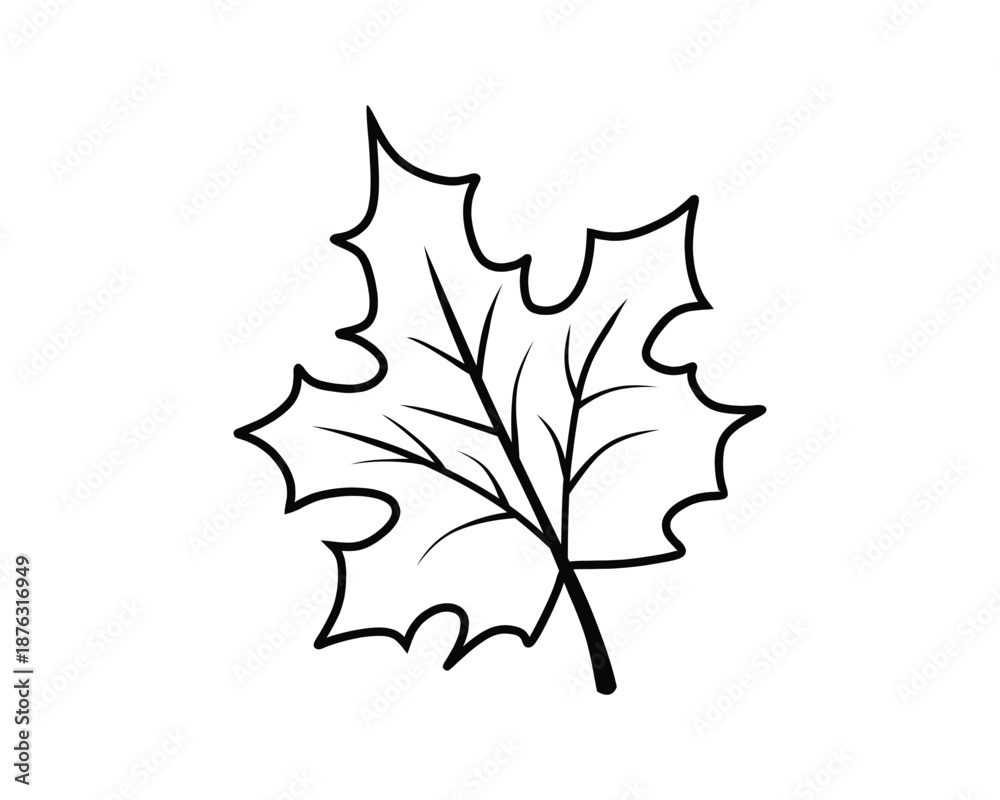 Obraz premium Simple Black Outline Maple Leaf Vector Icon