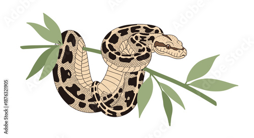 Powerful python snake with black and tan patterns coiled tightly around a green leafy branch while looking towards the viewer in a forest environment.