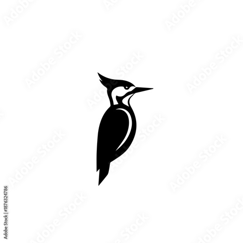 Woodpecker perched on tree isolated on white background, Vector