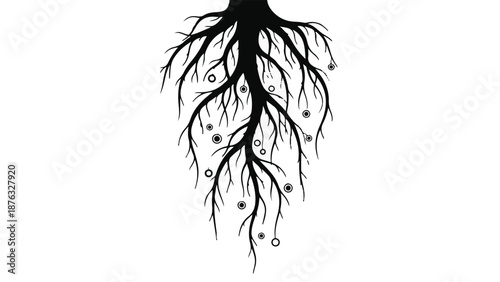 Intricate black tree roots with small white starbursts against a clean white background