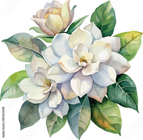 Elegant Creamy White Gardenia Flowers with Leaves – Watercolor Botanical Illustration