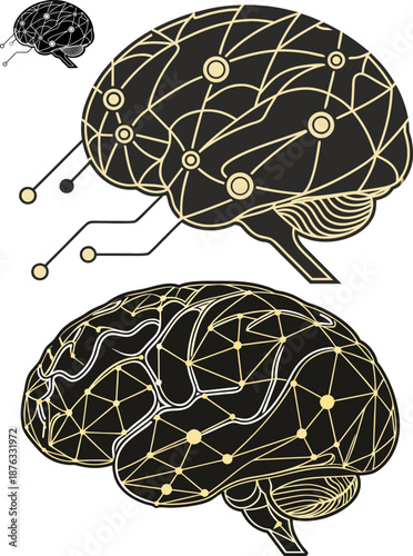 illustration of human brain