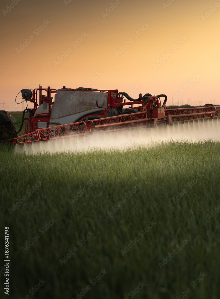 Naklejka premium Tractor spraying vegetables in a lush green field at sunset.