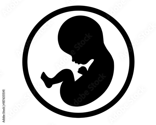 silhouette of a baby in the womb, health logos and symbols

