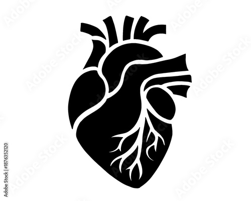human heart silhouette, health icon and human body anatomy
