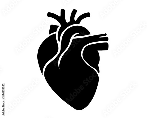 human heart silhouette, body anatomy icon, vector illustration
