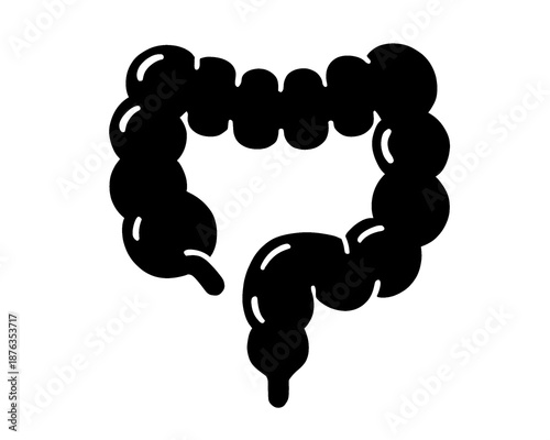 human intestine silhouette, vector illustration
