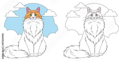 Cute fluffy cat sitting vector illustration set with colored version and black and white outline for coloring book page