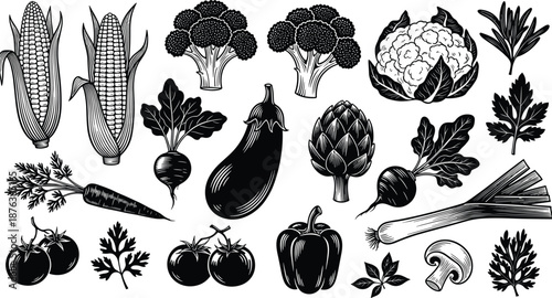Vintage engraved vegetables vector collection featuring corn broccoli cauliflower eggplant artichoke carrot pepper tomato and herbs isolated on white background