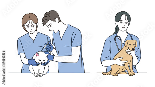 Veterinarians examine a cat and a dog, providing medical care.