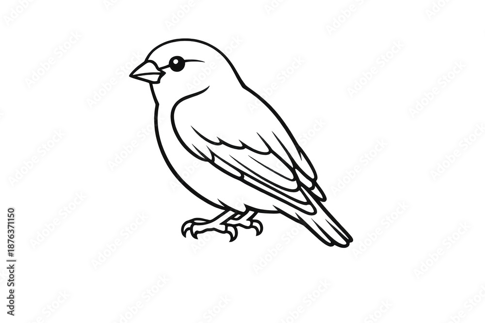 Obraz premium Sparrow vector illustration with transparent background outline drawing