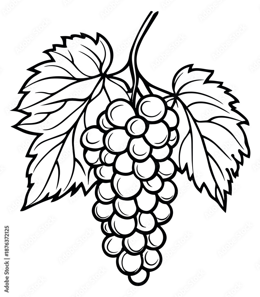 Obraz premium Hand drawn illustration of a grape cluster depicting fresh fruit for food and beverage design