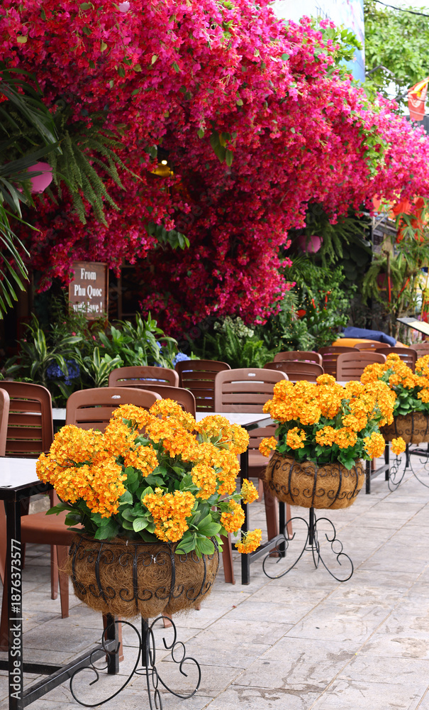 Obraz premium Flowers in pots on the street decorating a cafe