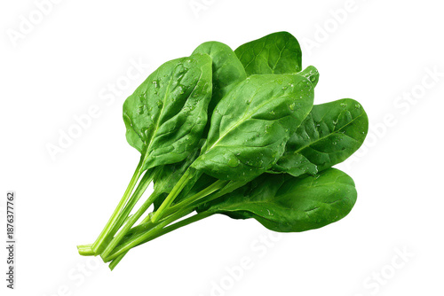 Fresh green spinach leaves with water droplets on black background healthy
