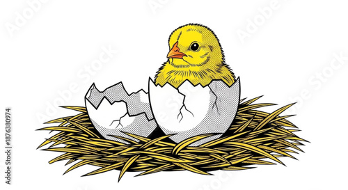 Yellow chick hatching from eggshell in nest surrounded by straw  