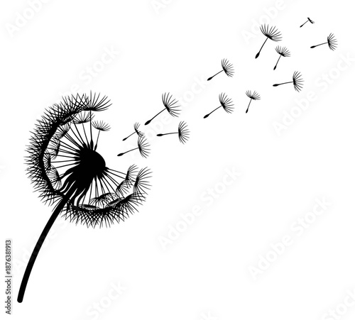 Dandelion Seeds Silhouette - Minimalist Vector Illustration