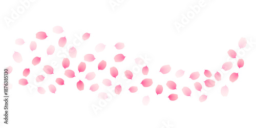 Sakura cherry petals, pink apricot flowers falling swirl. Vector background