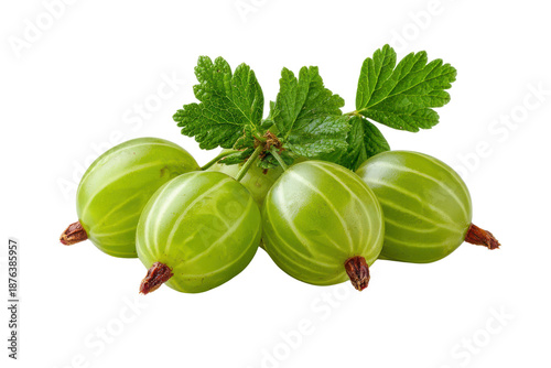 Five ripe green gooseberries with leaves on black background gooseberry fruit
