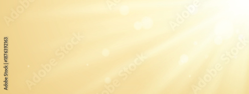 sunburst light glare background bright sunshine light rays