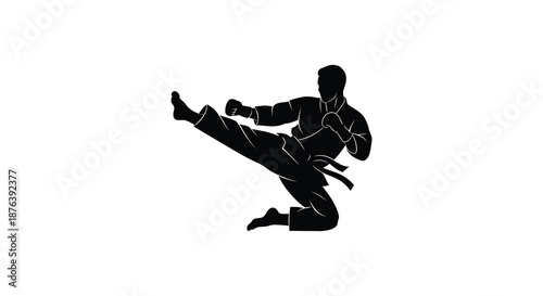 martial arts figure in dynamic kicking pose silhouette high quality professional detailed modern elegant stylish clean