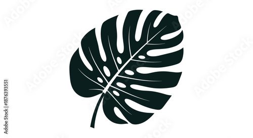 Stylized dark green Monstera deliciosa tropical leaf illustration, a popular houseplant for modern home decor designs.