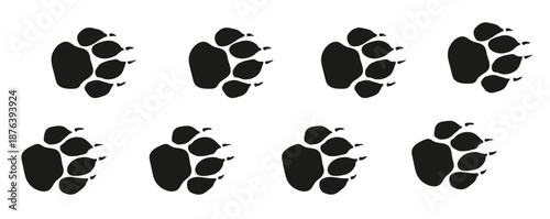  tiger or lion paw footprint way lion paws walking randomly