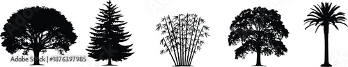 Tree silhouettes collection isolated on white background, forest plants and palm trees black shapes for nature landscape design concept