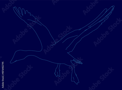 A blue goose in flight with wings spread wide, soaring against a dark blue background. Its elegant contour is highlighted in the dramatic scene.