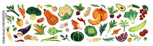 Set of different ripe and raw vegetables. Organic farm food- tomatoes, cabbages. Agriculture crops. Natural harvest. Healthy eating. Flat isolated hand drawn vector illustrations on white background