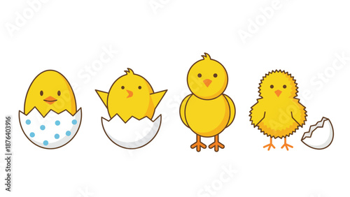 Cute cartoon yellow chicks hatching from eggs, showing different stages of birth and growth, isolated on a white background.