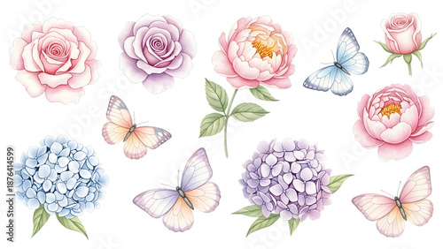 A beautiful collection of watercolor flowers and delicate butterflies for elegant designs isolated on transparent background