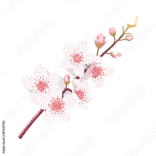 Delicate pink cherry blossom branch with unopened buds, symbolizing spring and new beginnings in a soft watercolor style