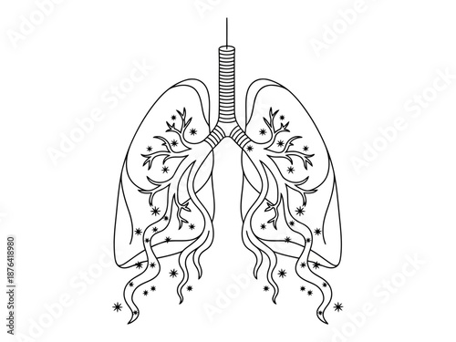 A detailed illustration of human lungs with trachea and bronchi