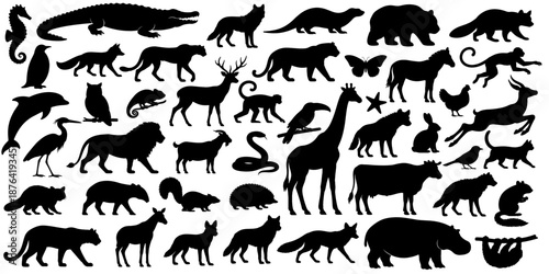 Wild animal silhouette collection in black. Large set of mammals, birds, reptiles and insects