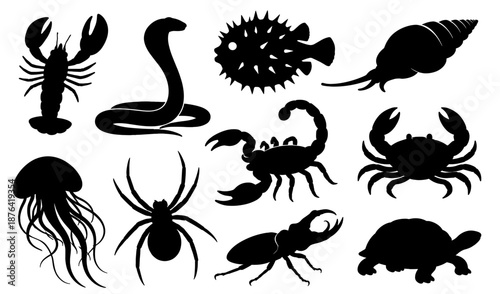 Marine animal silhouette collection in black. Sea creatures and ocean wildlife