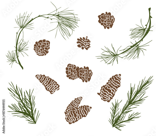 Konstfotografi Pine tree branches set with pine cones