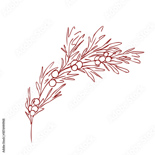 Vintage Christmas mistletoe branch in simple line art style. Contour drawing. Vector whimsical hand drawn doodle illustration for holiday cards, labels, packaging, stickers isolated on white
