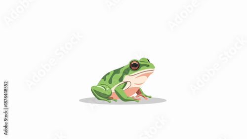 A small green frog with dark-ringed eyes sits with its body facing right, on a white background