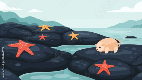 A small, light-colored creature explores a rocky shore dotted with colorful starfish under a hazy sky