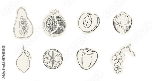 Fruit doodle sketch hand drawn set tropical and garden fruits and berries. Decorative vector elements for poster, placard, greeting card, menu or wedding invitation