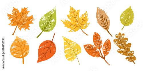 Autumn leaves set with chalk texture, isolated on white background. Crayon vector illustration with maple, oak and birch, hand drawn. 