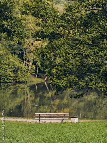 wooden bench in the park