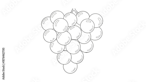 A clean and simple line art illustration featuring a fresh cluster of grapes, rendered in a minimalist black and white style, capturing the organic beauty of this popular fruit