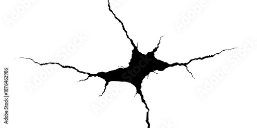 A vector illustration of a black crack pattern forming a hole in the white wall and ground with nature elements like a tree branch and wood texture to design a map of danger
