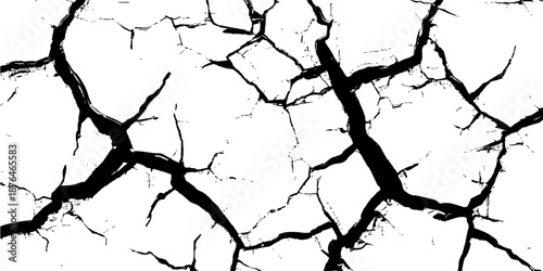 Black and white paint splashes create a grunge texture on a cracked concrete wall with natural branch patterns and broken cement surfaces