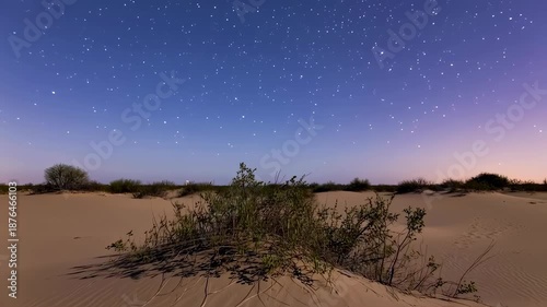 Starry Desert Night - A Tranquil Landscape Under the Cosmos.